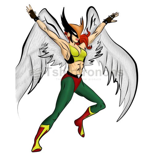 Hawkgirl T-shirts Iron On Transfers N4996